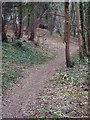 Footpath from Standlynch Farm through Trafalgar Park