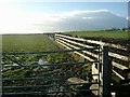 Gate, fence and hedge by the A76