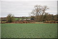 View towards Field Dairy Farm