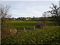 View across fields to Oakstedge Lane