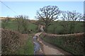 Road across a valley