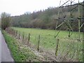 Atchester wood and pylon in meadow W of Pett Bottom Road