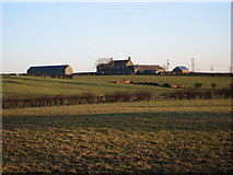 NS3554 : Hill of Beith Farm by wfmillar