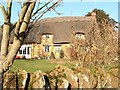 Thenford Thatched Cottage