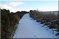 Seldom used road at Belscamphie