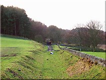 NY8663 : Trackbed of the Allendale Branch by Bill Cresswell