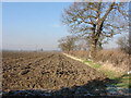 Ploughed field