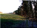 A view south-east from Maisey Farm, near Marlborough