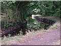 The Tavistock Canal