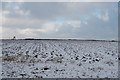 Ploughed field at Kincraig