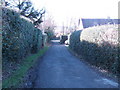 TQ5124 : Buxted Wood Lane by Jonathan Billinger