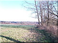 Field edge; Oxpasture Wood