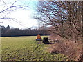 Field in winter sunlight