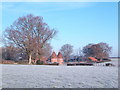 Earlye Farm on a frosty morning