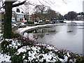 Older Houses Overlooking Feltham Pond