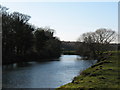 The Swale at Baldersby Park