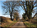 Catton Lane Topcliffe