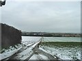 Track leading down to Undertrees Farm