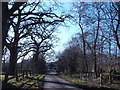 Borders Lane, Etchingham