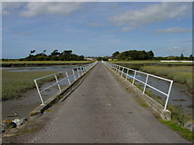 Q9847 : The causeway to Carrig Island by Colin Park