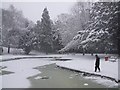 Fish Pool, Memorial Gardens, Tring