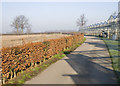 Path running parallel to a nursery