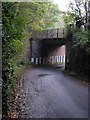 Railway bridge near Dailly