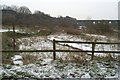 Remains of Newton Common Lock