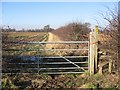 Footpath from Dark Lane to Burwardsley Road