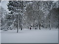 Cassiobury Park, Watford