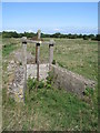 Remains of water-meadow water control structure