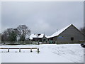 Ashdown Forest Llama Park