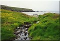 HU6489 : Burn flowing into Wick of Aith, Fetlar by Tom Pennington