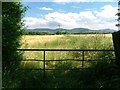 Gate, Tunstall Lane