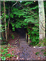 Footbridge over Unnamed Stream, Milldown Wood