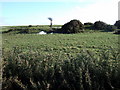 Earthwork near Trewyddel/Moylgrove