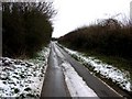 Moles Lane looking north towards Seaton