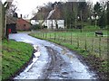 Ileden Farm, Barham Downs