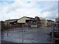 Milking area at Venns Farm