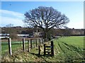 Footpath To The Redmore Inn