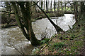 Winkleigh: river Taw near Clapper Cross