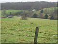 View across a valley near Bladbean