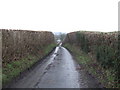 Down the lane to Willinghurst