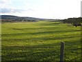 View south from Monkshill