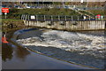 The Lagan Weir, Lisburn (2)