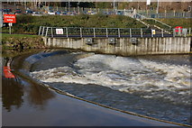 J2764 : The Lagan Weir, Lisburn (2) by Albert Bridge