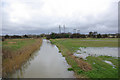 Aldingbourne Rife looking upstream.