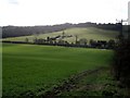 Sweeping Farmland