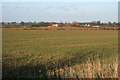 Farmland near Aunsby