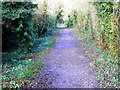 Looking north along the Sustrans cycle path, Marlborough